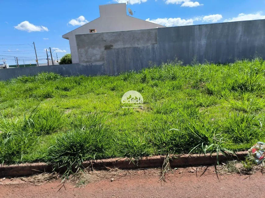 Foto 1 de Lote/Terreno à venda, 250m² em Floresta, Cascavel