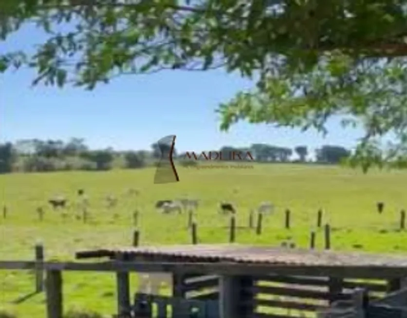 Foto 1 de Fazenda/Sítio à venda, 121000m² em Centro, Cruzeiro do Oeste