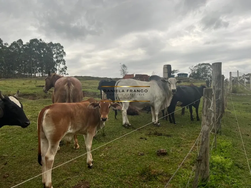 Foto 1 de Fazenda/Sítio com 2 Quartos à venda, 209330m² em Area Rural de Avare, Avaré