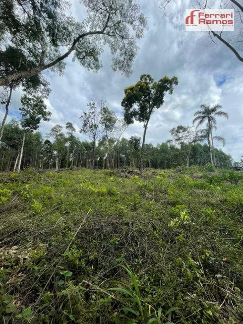 Foto 1 de Lote/Terreno à venda, 26000m² em Granja Urupês, Santa Isabel