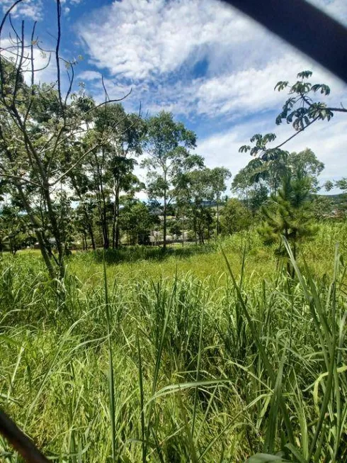 Foto 1 de Lote/Terreno à venda, 4380m² em Chácaras Catagua, Taubaté