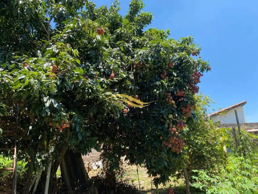 Foto 1 de Fazenda/Sítio com 2 Quartos à venda, 140m² em Area Rural de Artur Nogueira, Artur Nogueira