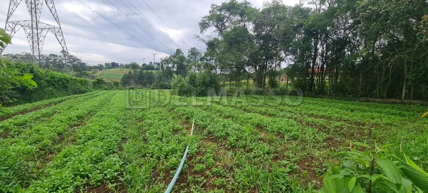 Foto 1 de Lote/Terreno à venda, 1000m² em Curral, Ibiúna