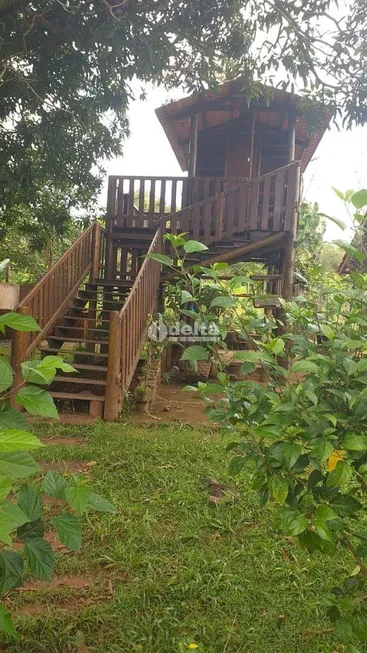 Foto 1 de Fazenda/Sítio com 4 Quartos à venda, 360m² em Area Rural de Uberlandia, Uberlândia