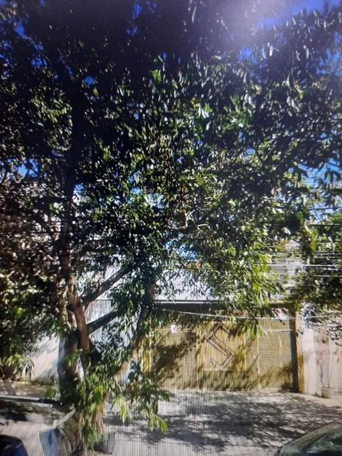 Foto 1 de Lote/Terreno para venda ou aluguel, 318m² em Parque da Vila Prudente, São Paulo