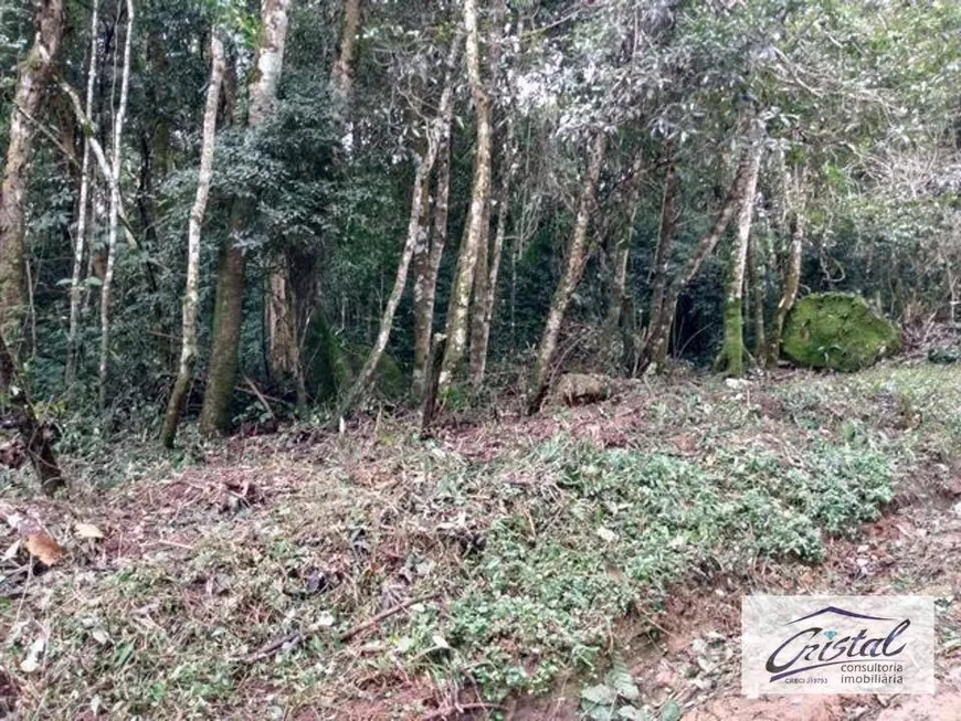 Foto 1 de Lote/Terreno à venda, 1518m² em Caucaia do Alto, Cotia