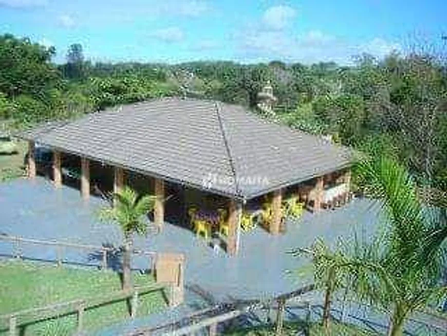 Foto 1 de Fazenda/Sítio com 3 Quartos à venda, 21000m² em Usina Três Bocas, Londrina