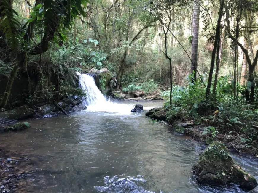 Foto 1 de Fazenda/Sítio com 4 Quartos à venda, 145812m² em Tres Corregos, Campo Largo