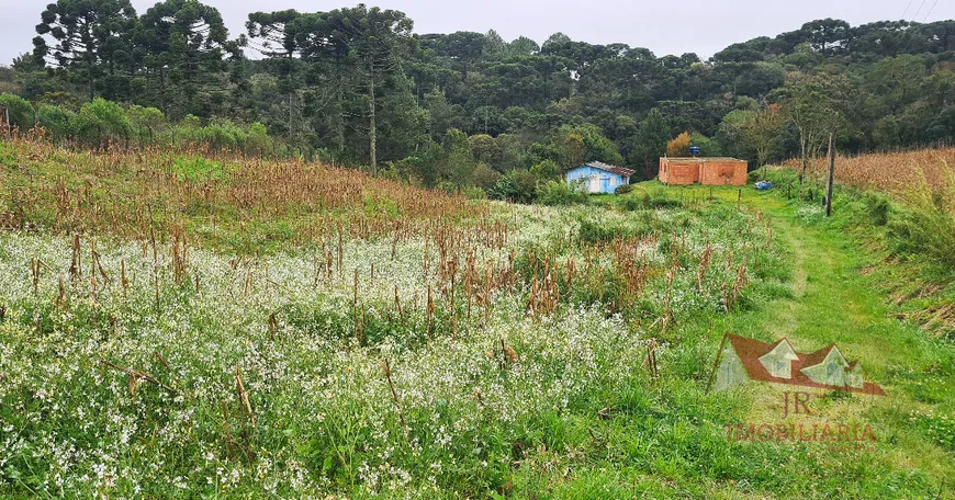 Foto 1 de Fazenda/Sítio com 2 Quartos à venda, 6000m² em Colônia Malhada, São José dos Pinhais