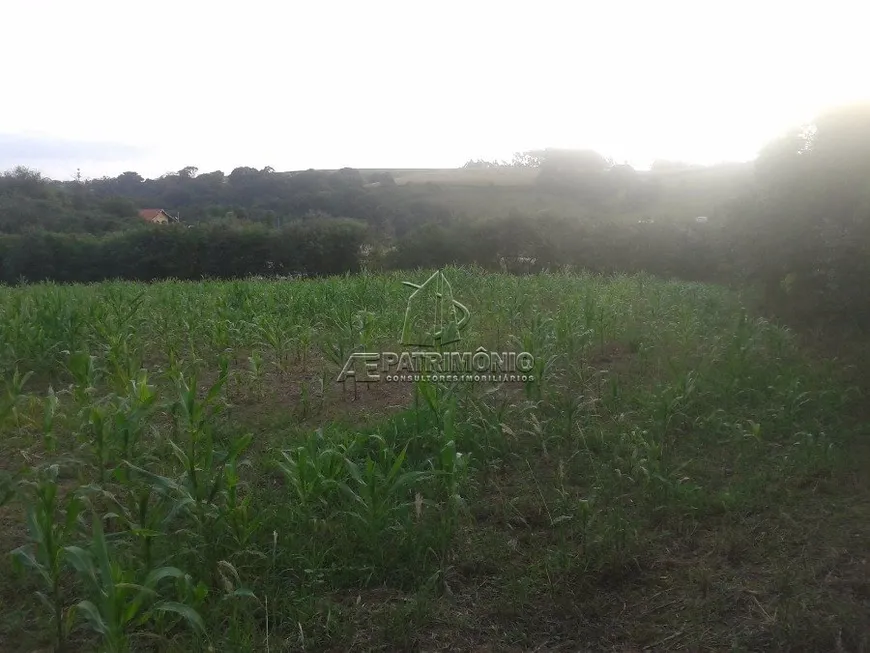 Foto 1 de Fazenda/Sítio com 2 Quartos à venda, 590m² em Aparecidinha, Aracoiaba da Serra