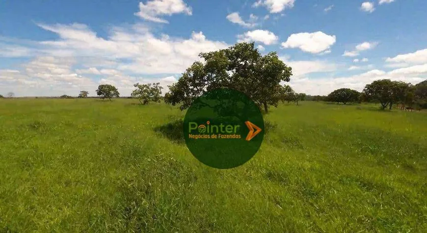 Foto 1 de Fazenda/Sítio à venda, 4356000m² em Zona Rural, Campo Alegre de Goiás