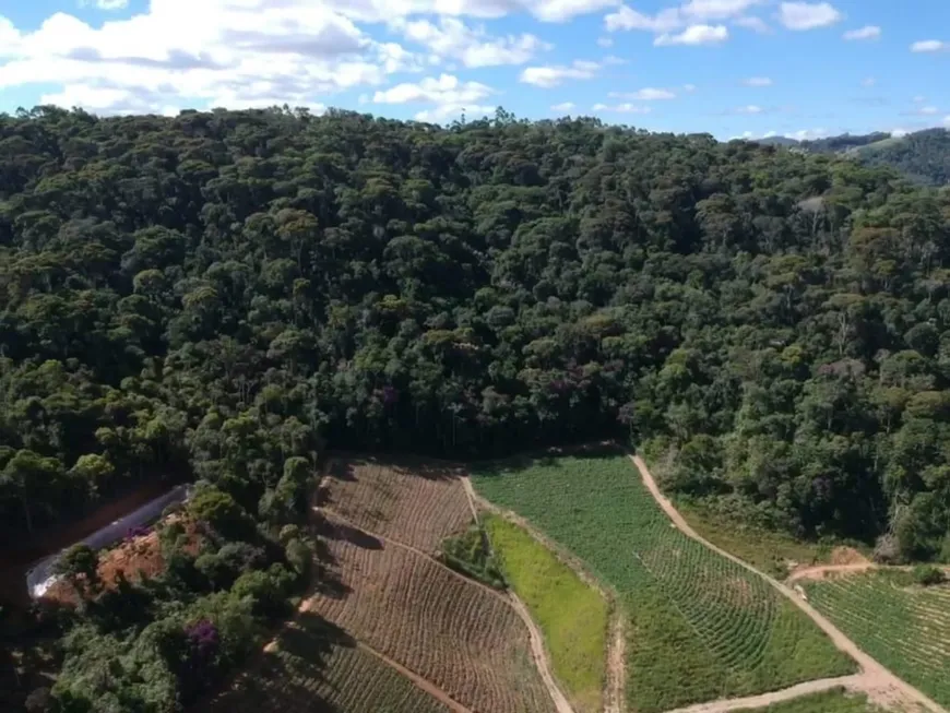 Foto 1 de Fazenda/Sítio com 2 Quartos à venda, 200m² em Pedra Azul, Domingos Martins