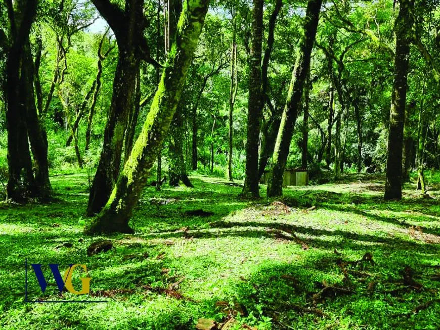 Foto 1 de Fazenda/Sítio à venda, 15100m² em , Balsa Nova