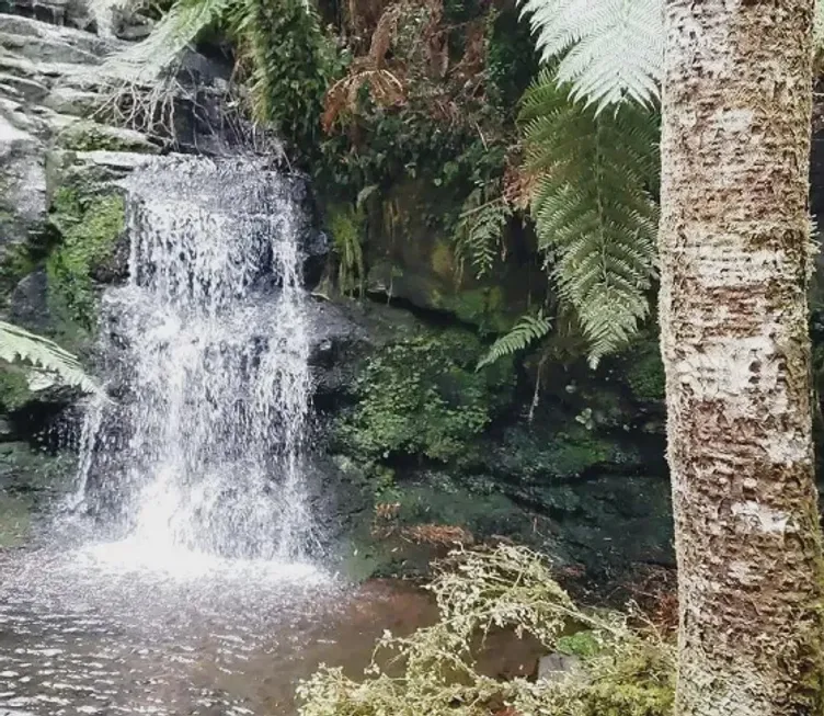 Foto 1 de Fazenda/Sítio à venda em Vacas Gordas, Urubici