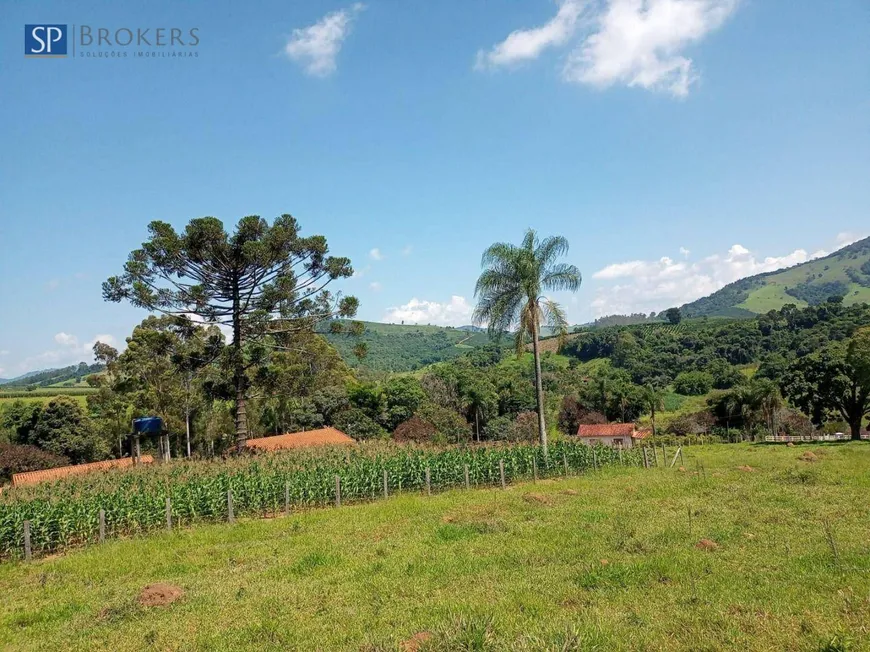 Foto 1 de Fazenda/Sítio com 4 Quartos à venda, 300m² em Zona Rural, Monte Sião