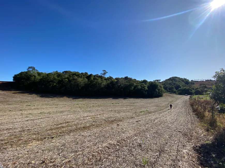 Foto 1 de Fazenda/Sítio à venda, 51688m² em Zona Rural, Campo Magro