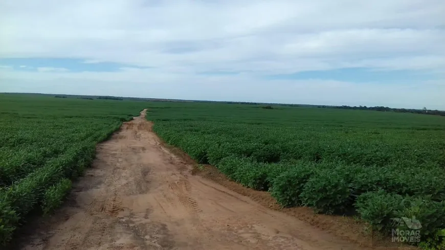 Foto 1 de Fazenda/Sítio à venda, 2040m² em , Ribeirão Cascalheira