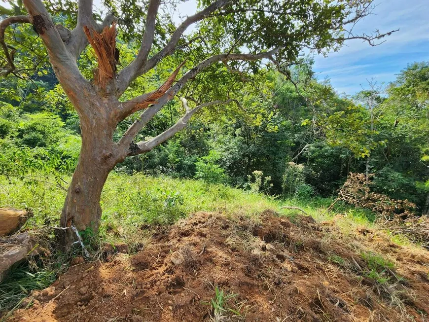 Foto 1 de Fazenda/Sítio à venda, 20000m² em Area Rural de Jaragua do Sul, Jaraguá do Sul