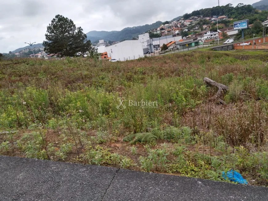 Foto 1 de à venda, 4054m² em Itoupava Norte, Blumenau