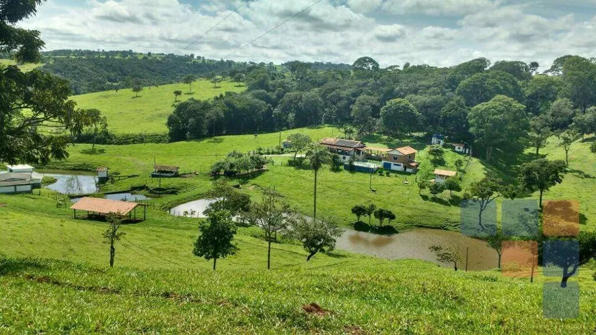 Foto 1 de Fazenda/Sítio com 5 Quartos à venda, 4200000m² em Centro, Capim Branco