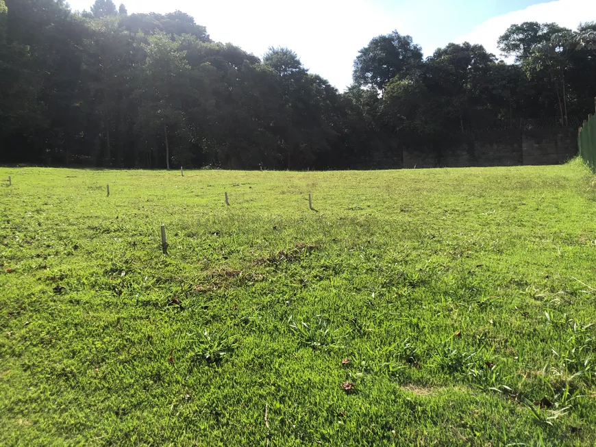 Foto 1 de Lote/Terreno à venda, 709m² em Tamboré, Santana de Parnaíba