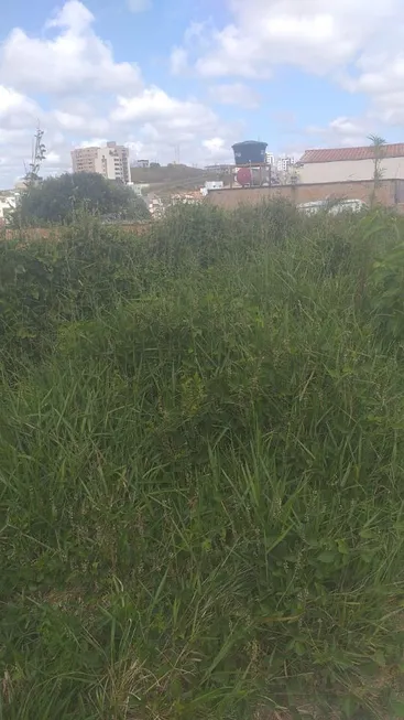 Foto 1 de Lote/Terreno à venda, 250m² em Vila Belizário, São João Del Rei