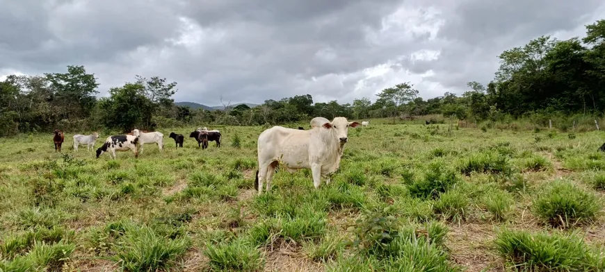 Foto 1 de Fazenda/Sítio com 2 Quartos à venda, 490000m² em Sao Gabriel de Goias, Planaltina