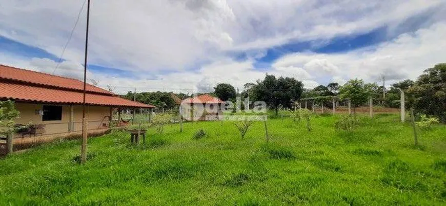 Foto 1 de Fazenda/Sítio com 5 Quartos à venda, 200m² em Chácaras Eldorado, Uberlândia