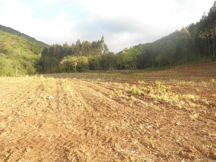 Foto 1 de Fazenda/Sítio com 1 Quarto à venda, 160000m² em , Gramado