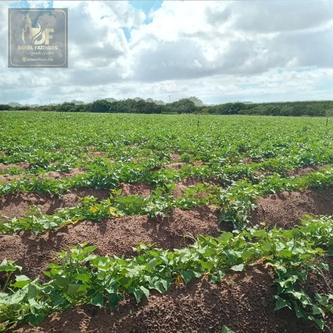 Foto 1 de Fazenda/Sítio com 3 Quartos à venda, 44000m² em Zona Rural, Touros