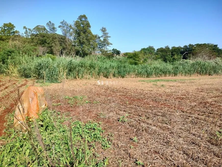 Foto 1 de à venda, 24200m² em , Paiçandu