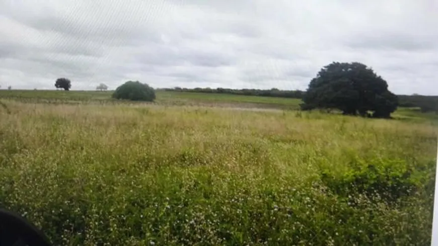 Foto 1 de Fazenda/Sítio com 3 Quartos à venda, 320000m² em Zona Rural, São Paulo do Potengi