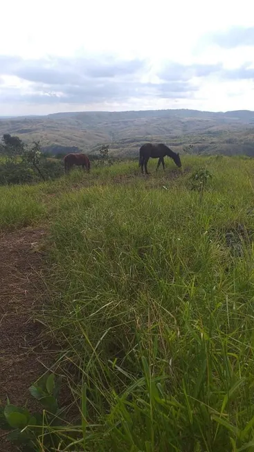 Foto 1 de Fazenda/Sítio com 3 Quartos à venda, 40m² em Zona Rural, Lagamar