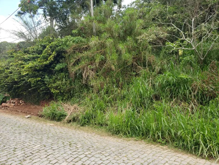 Foto 1 de Lote/Terreno à venda, 330m² em Independência, Petrópolis