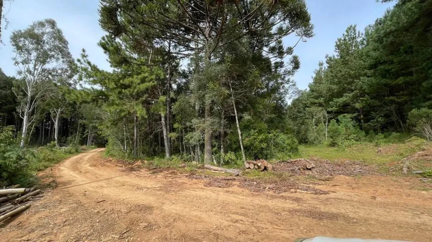 Foto 1 de Fazenda/Sítio com 1 Quarto à venda, 39665m² em Caracol, Canela