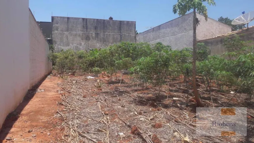 Foto 1 de Lote/Terreno à venda, 360m² em Jardim São Marcos, São José do Rio Preto