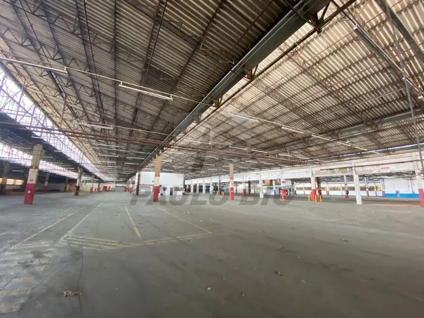 Foto 1 de Galpão/Depósito/Armazém para alugar, 10000m² em Paulicéia, São Bernardo do Campo