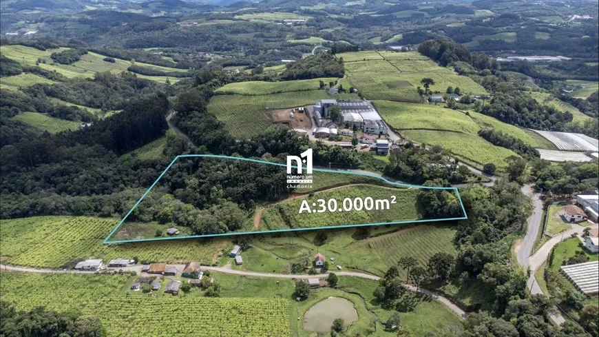 Foto 1 de Imóvel Comercial à venda, 30000m² em Zona Rural, Flores da Cunha