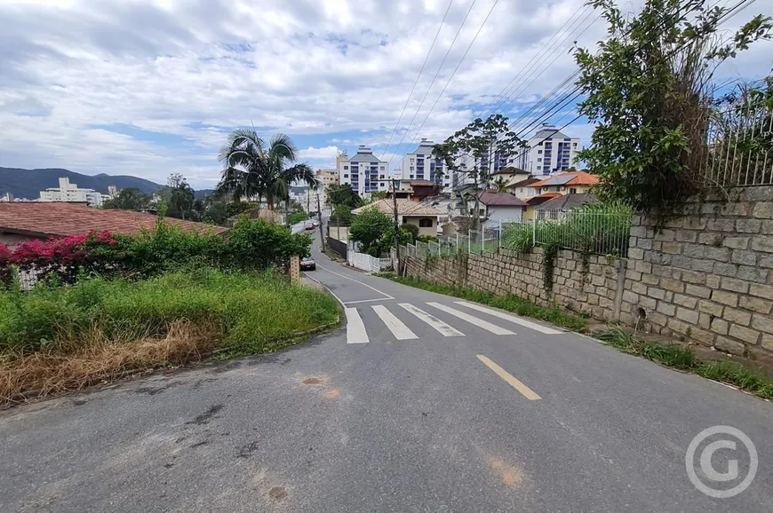 Foto 1 de Lote/Terreno para alugar, 2388m² em Trindade, Florianópolis