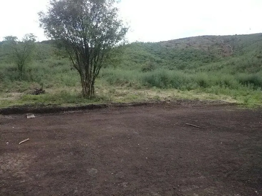 Foto 1 de Lote/Terreno para alugar, 2000m² em Mato Dentro, Almirante Tamandaré