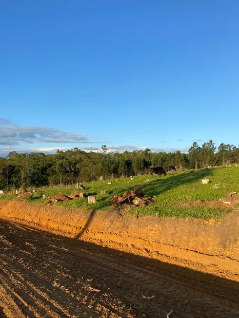 Foto 1 de Lote/Terreno à venda, 1000m² em Pagador de Andrade, Jacareí