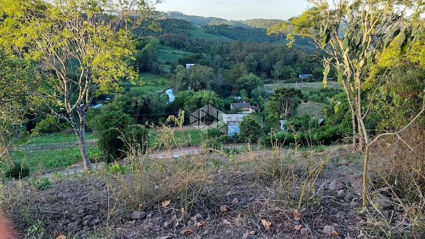 Foto 1 de Fazenda/Sítio com 1 Quarto à venda, 13749m² em Vale dos Vinhedos, Bento Gonçalves