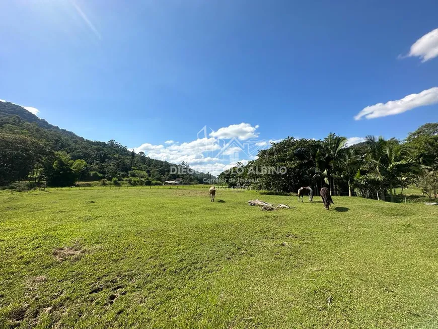 Foto 1 de Fazenda/Sítio à venda, 55000m² em Tiroleses, Timbó