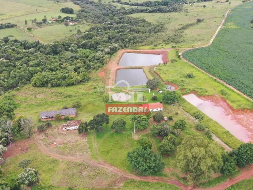 Foto 1 de Fazenda/Sítio à venda, 39m² em Zona Rural, Santa Cruz de Goiás