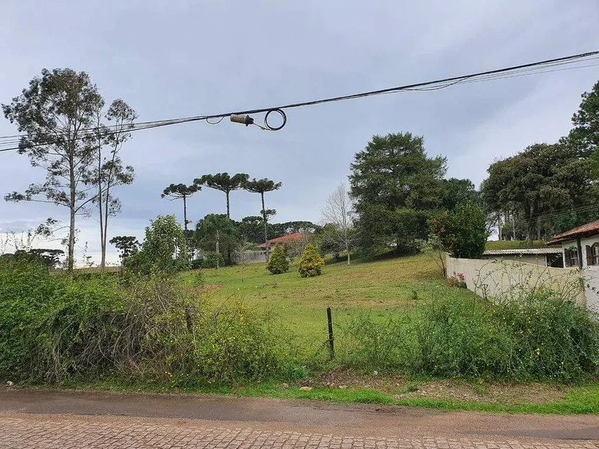 Foto 1 de para alugar, 2000m² em Colônia Murici, São José dos Pinhais