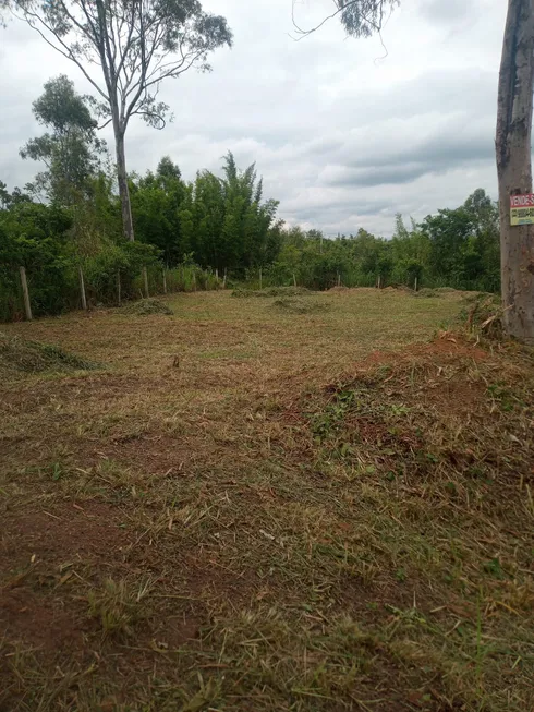 Foto 1 de Lote/Terreno à venda, 245m² em Alecrim, São Pedro da Aldeia