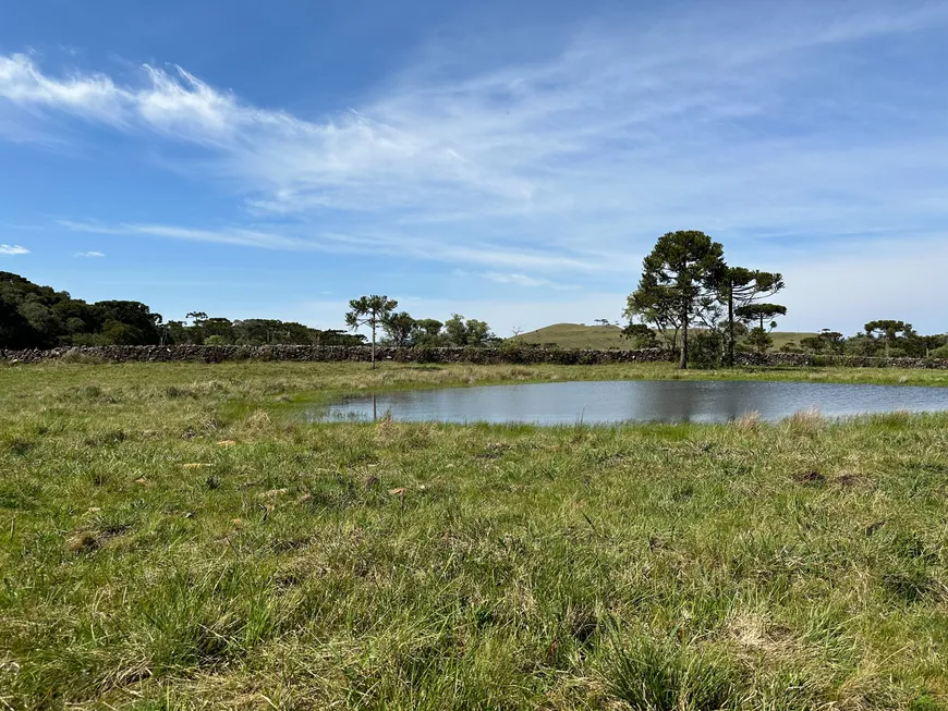 Foto 1 de Fazenda/Sítio à venda, 20000m² em , Urubici