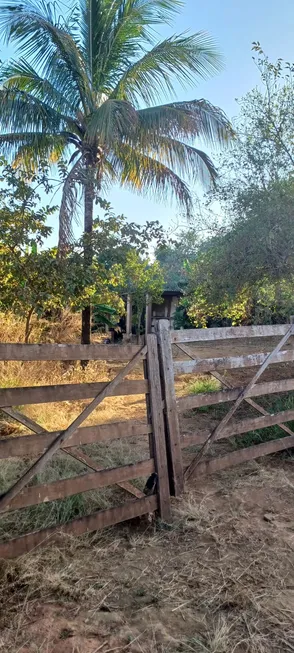 Foto 1 de Fazenda/Sítio com 2 Quartos à venda, 40000m² em Paranoá, Brasília