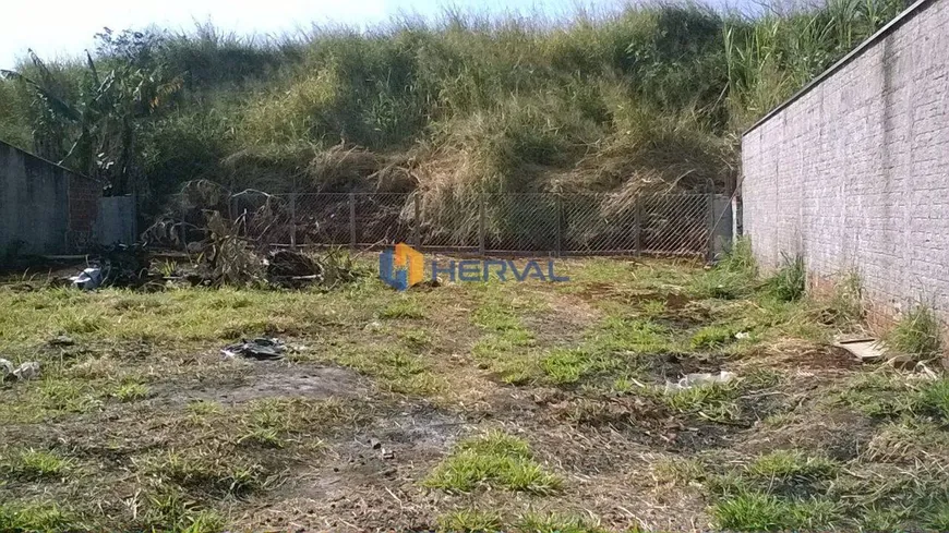 Foto 1 de Lote/Terreno à venda, 950m² em Centro, Mandaguari