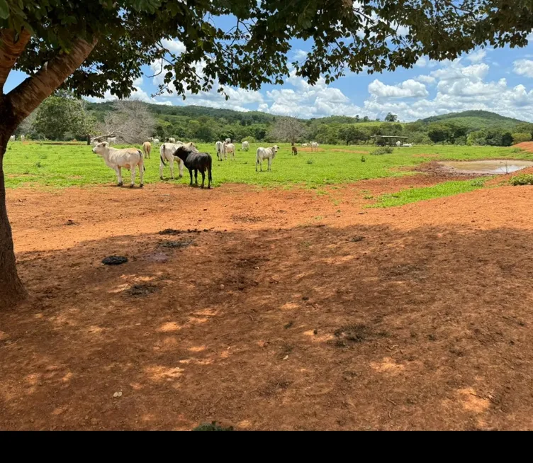 Foto 1 de Fazenda/Sítio à venda em Zona Rural, Água Fria de Goiás